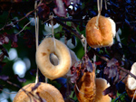 Ad Banner 1